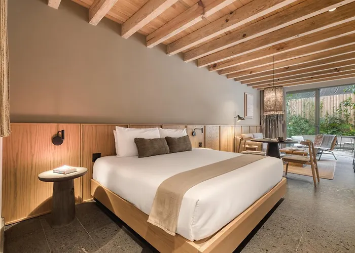 Hotel Onto Alvaro Obregon 5*