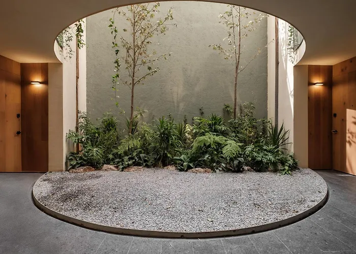 Onto Alvaro Obregon 5* México DF