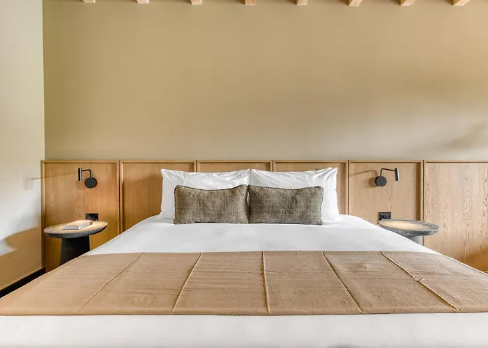 Hotel Onto Alvaro Obregon