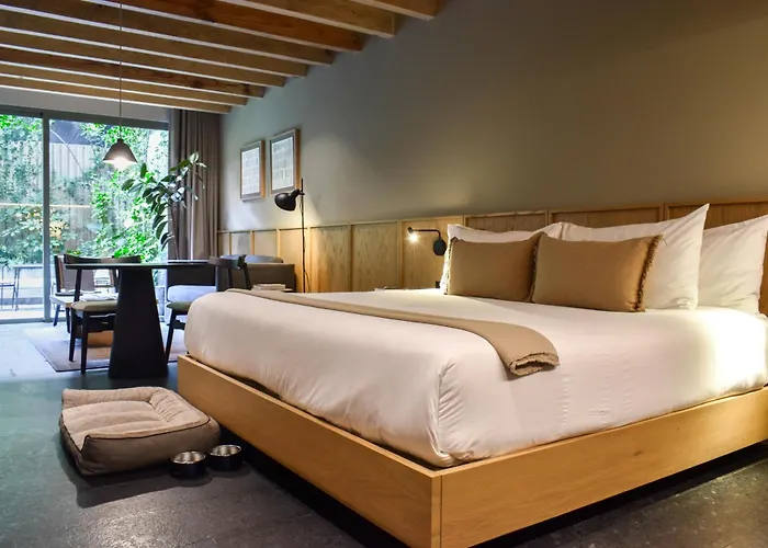 Hotel Onto Alvaro Obregon